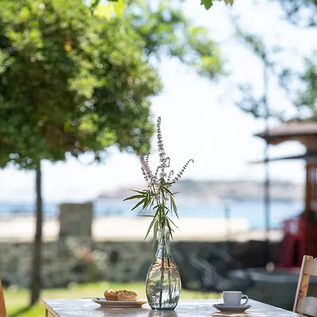 Case de vacanță Akasti Slow Living Paralia Sikias